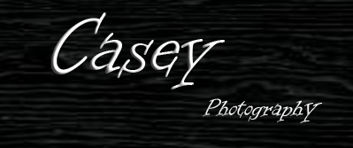 Casey Photography